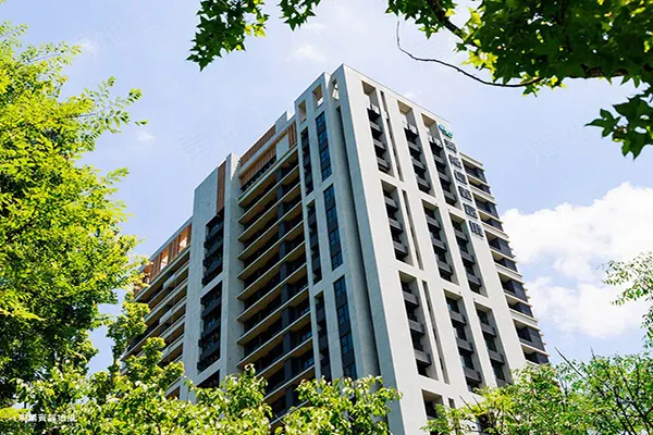 信義富境建案主視覺